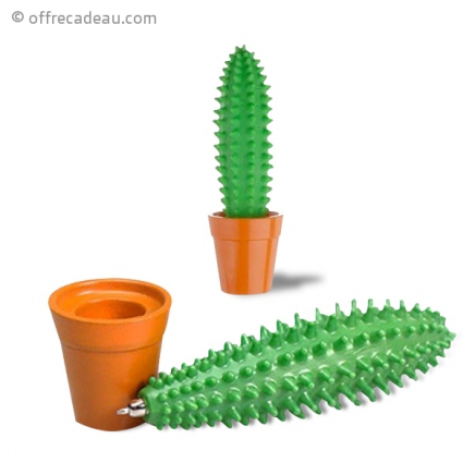 Stylo en forme de cactus en pot