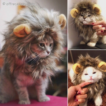 Costume pour chat et chien en forme de crinière de lion