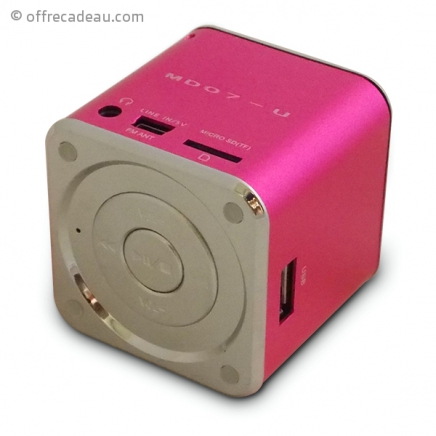 Mini enceinte MD07-U radio et lecteur mp3 à carte SD 